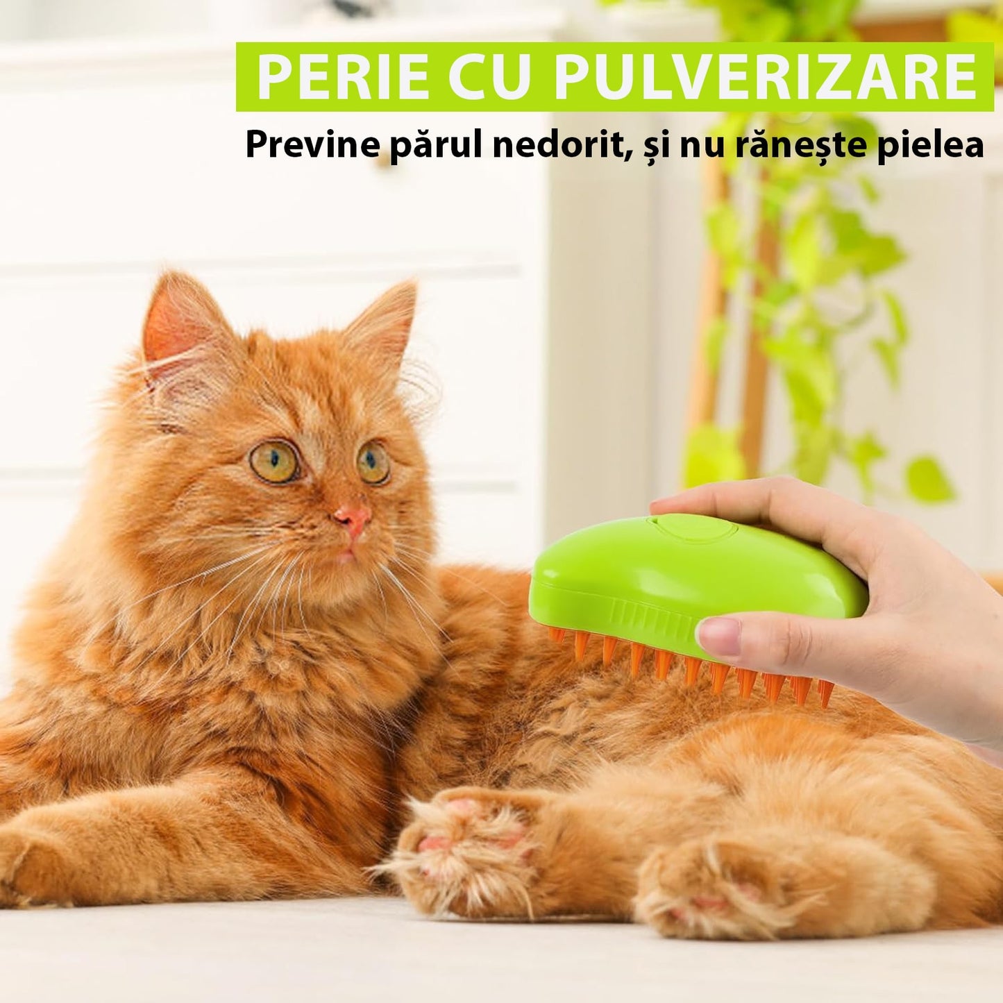 Perie Aburi Pisici