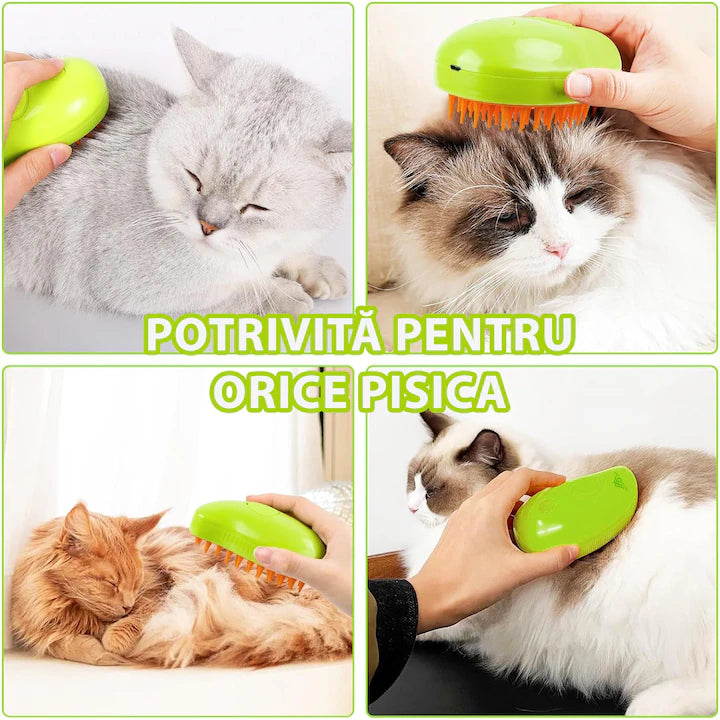 Perie Aburi Pisici