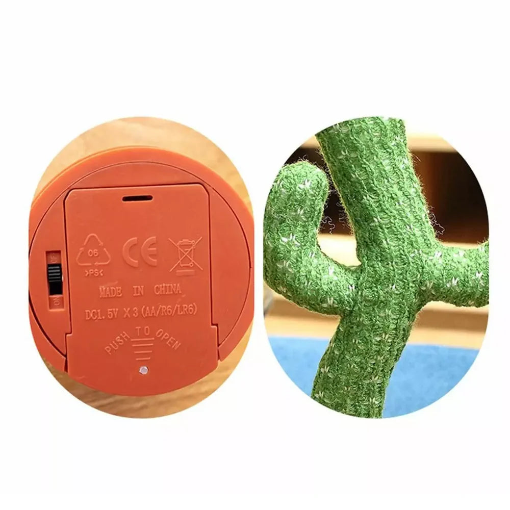 Cactus Dansator pentru Copii